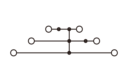 DP2.5N-3L-PV hình 3