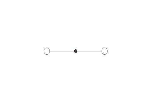 DP2.5SG hình 3