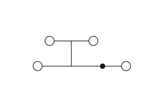 DPP2.5N-PV hình 3